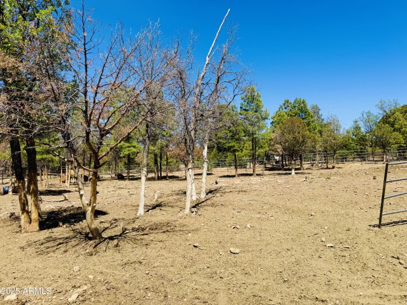 Variety of trees