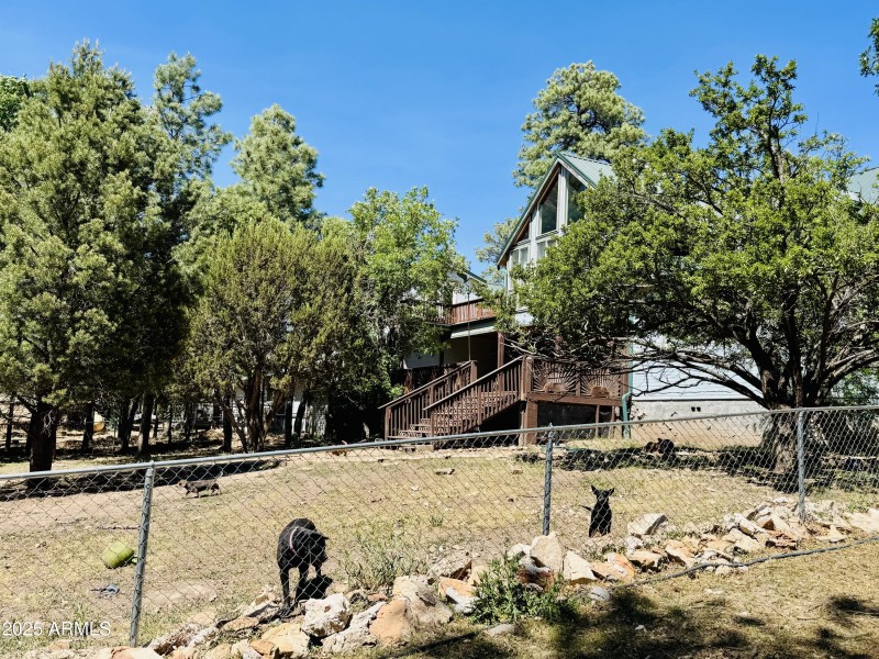 Fenced dog yard