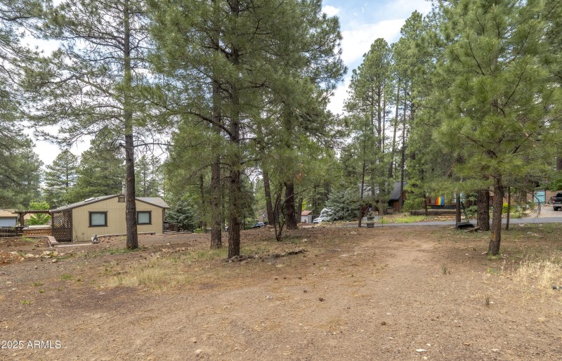 Large Lot