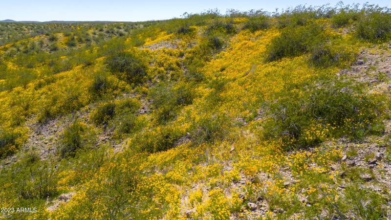 19920 West Verde Hills Dr00120