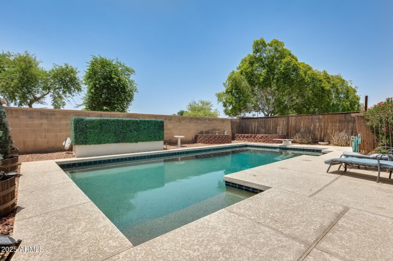 Backyard Oasis
