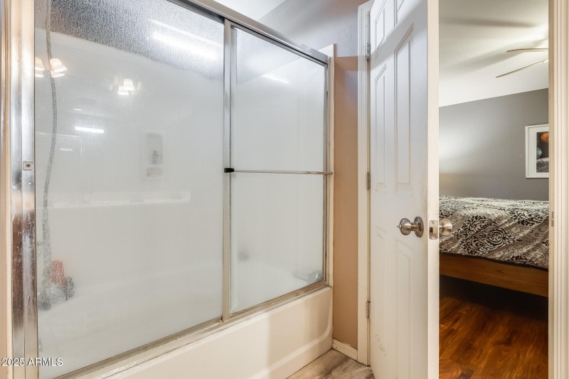 Master Bathroom Shower & Tub