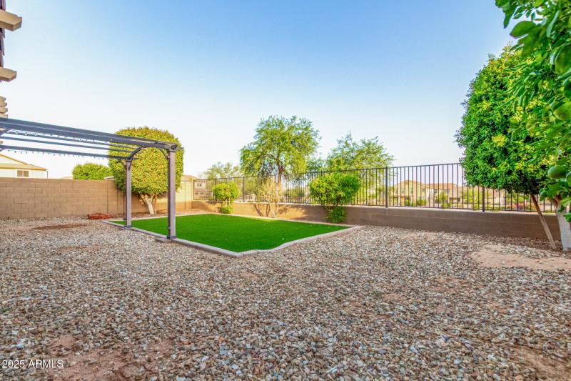 Back yard view