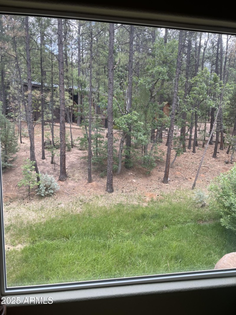 Park Model Picture Window View Backyard