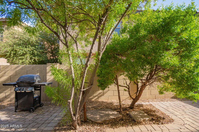 28 Backyard