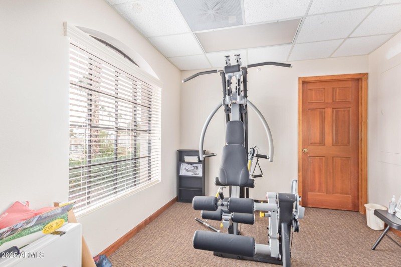 45 - Club House Exercise Machine