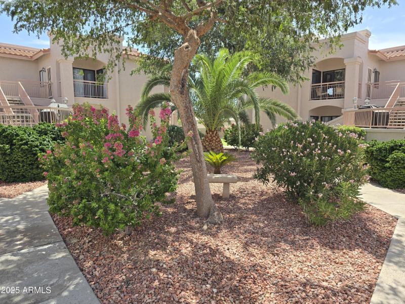 Z Front Court yard