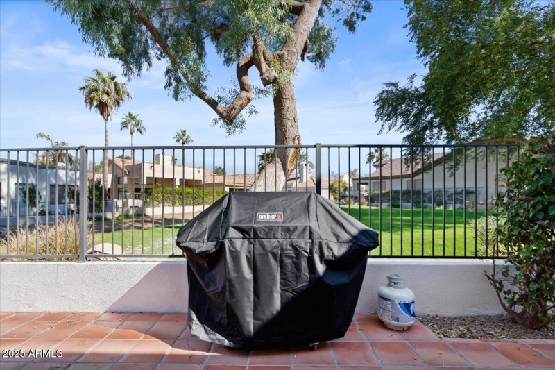 BBQ Grill with Open Backdrop