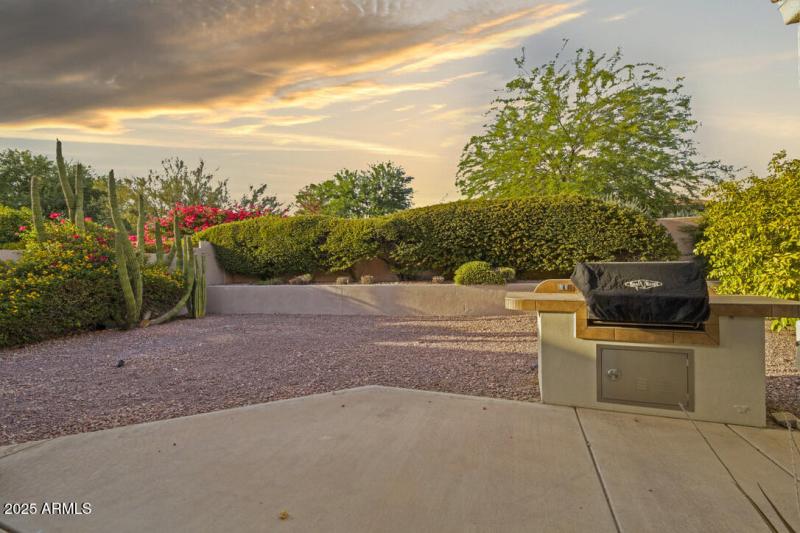 Back Yard View