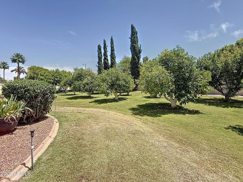 Orchard