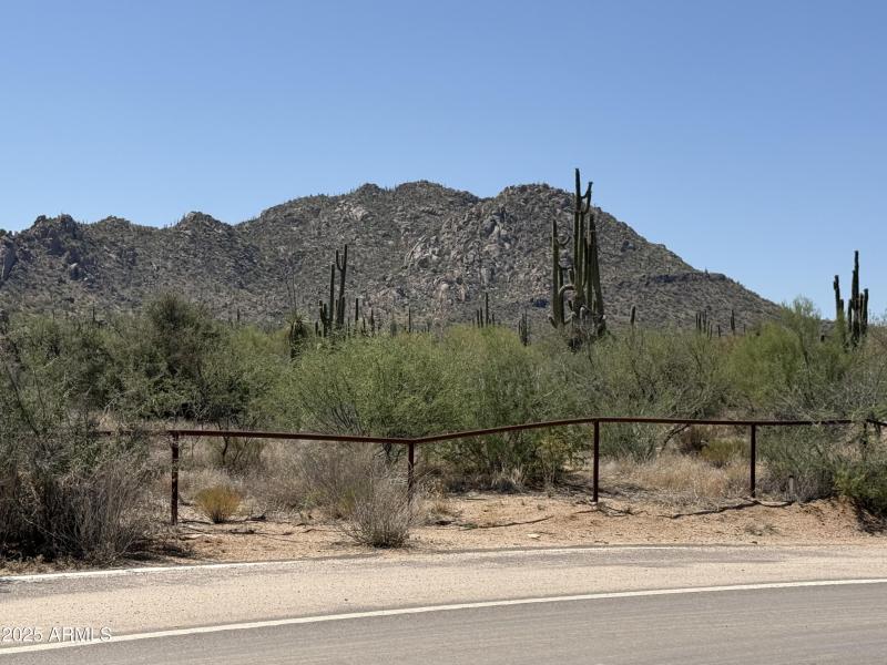 Lone Mountain 4