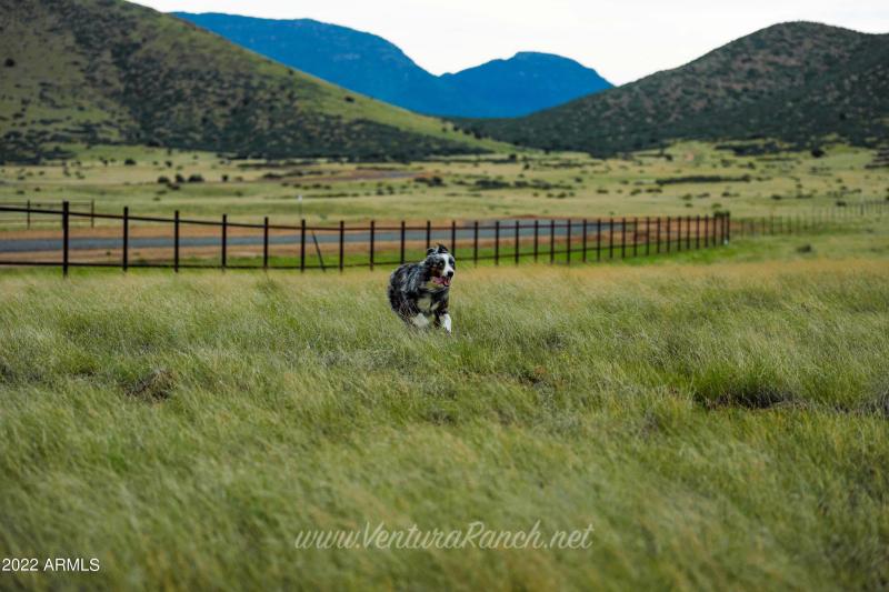 Ventura Ranch
