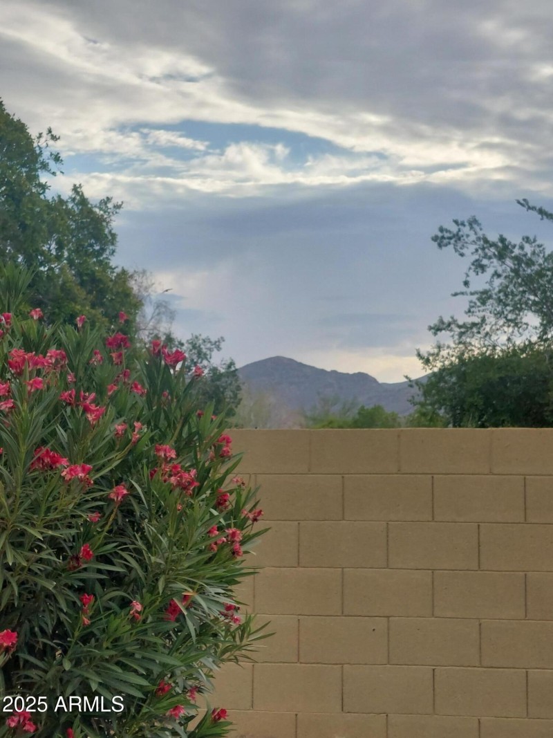 Mountain view