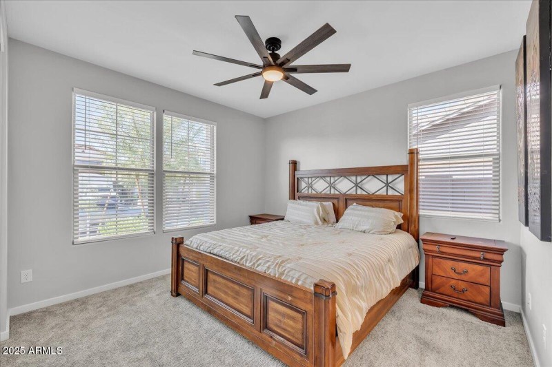 04-17593_W_Red_Fox_Rd42