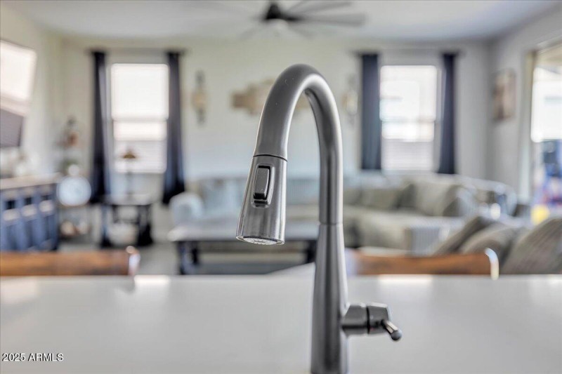 25-17593_W_Red_Fox_Rd21