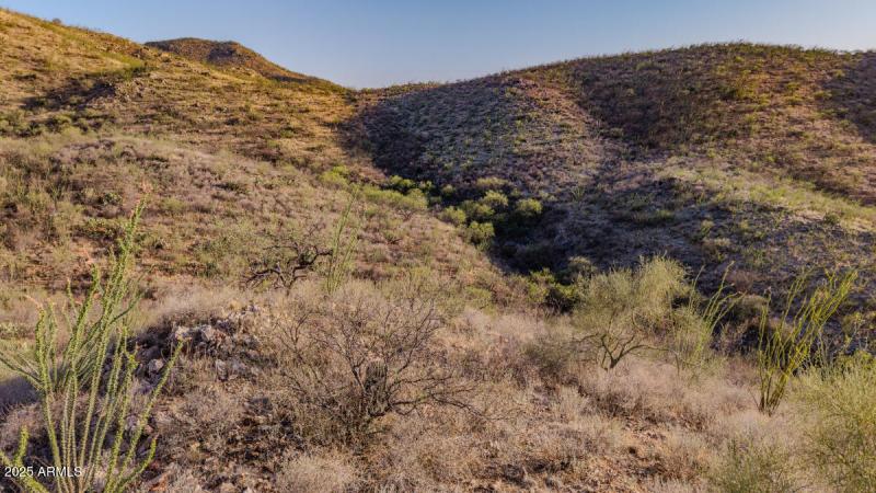 306-36-008F Pima AZ-13