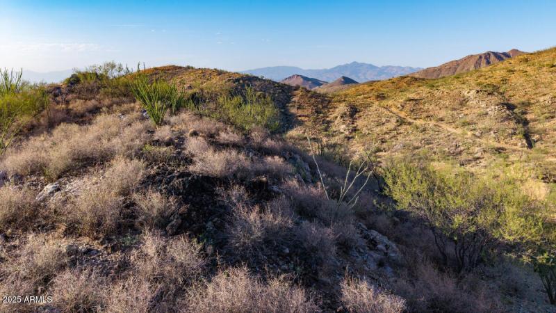 306-36-008F Pima AZ-12