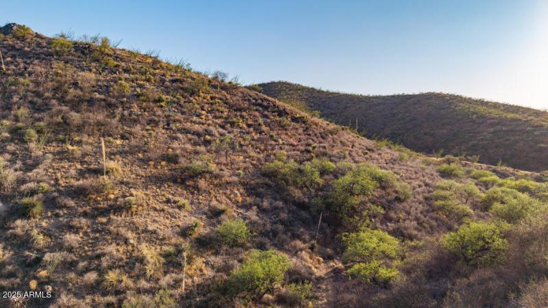 306-36-008F Pima AZ-15