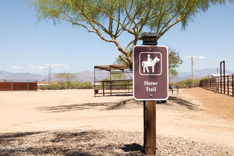 horse trail logo
