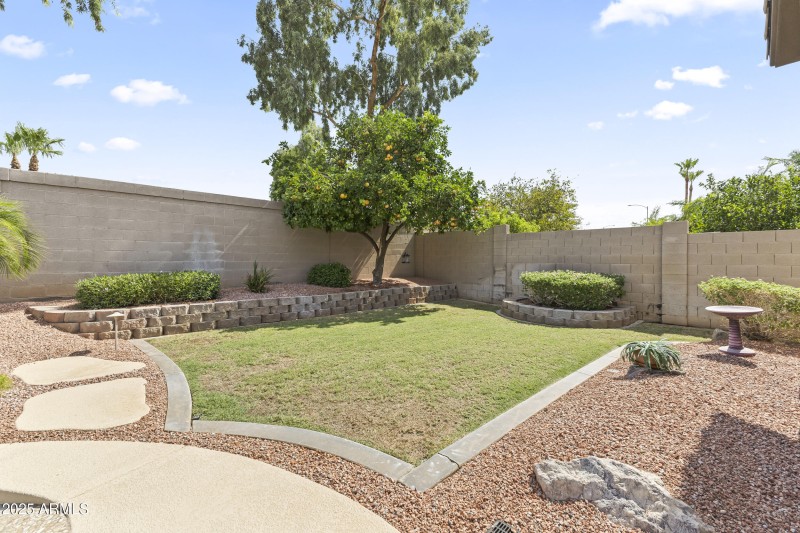 Backyard