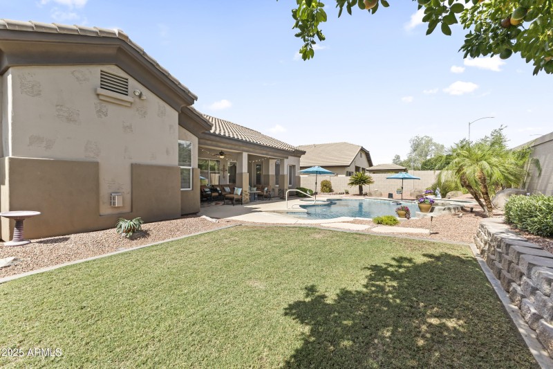 Backyard