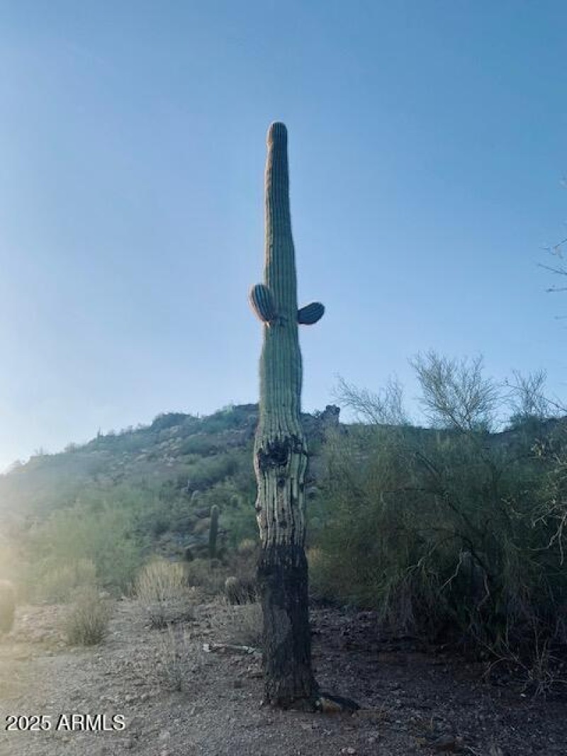 620 W. Tonto Photo 20