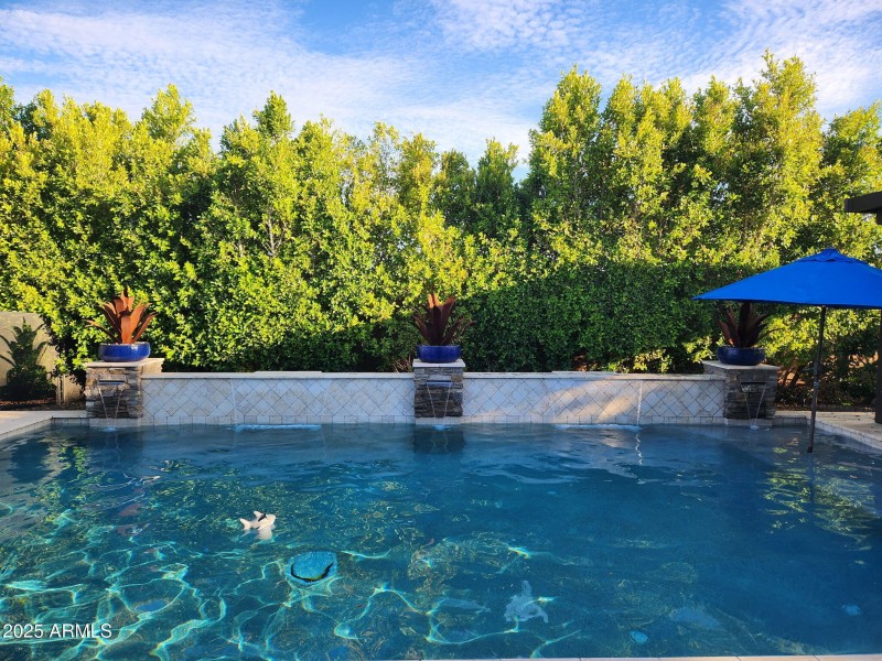 plum pool 2
