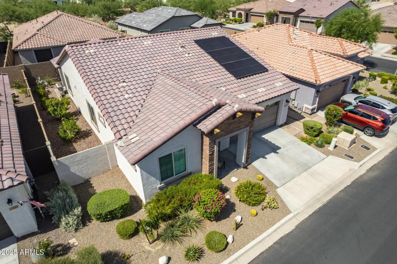 39 - Brittlewood Drone