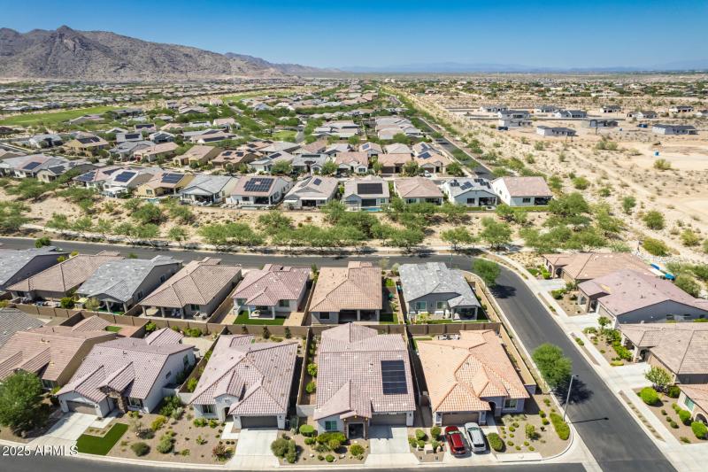 46 - Brittlewood Drone