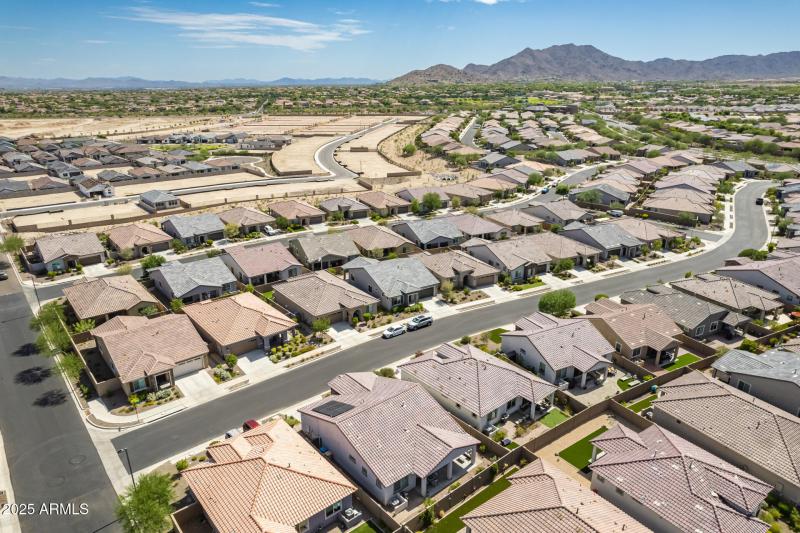 50 - Brittlewood Drone