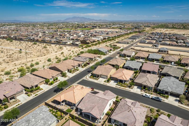 51 - Brittlewood Drone