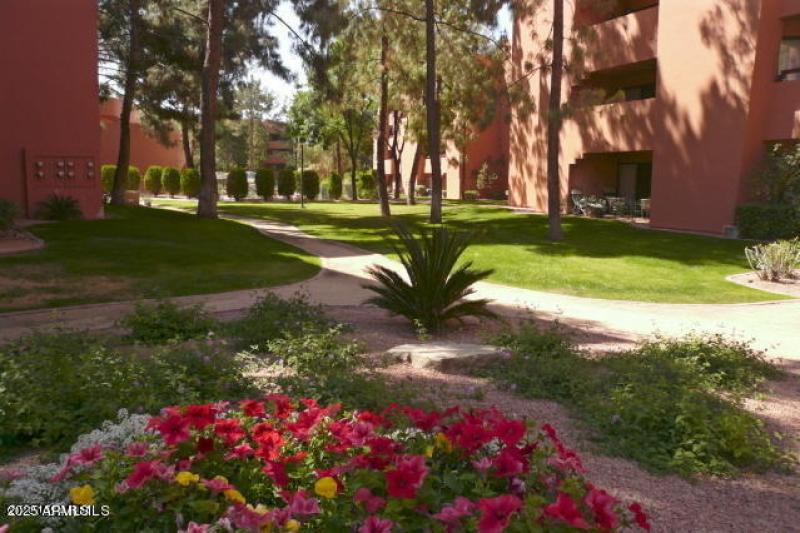 Anasazi Cactus Garden