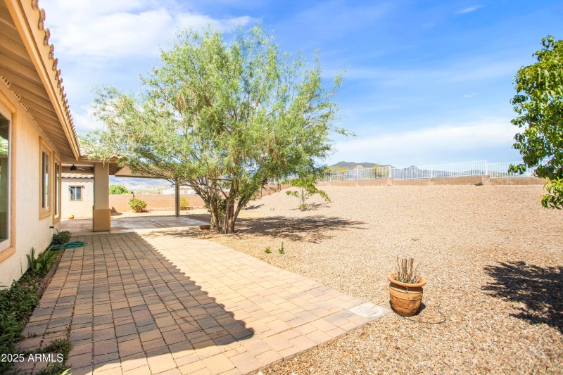 back yard