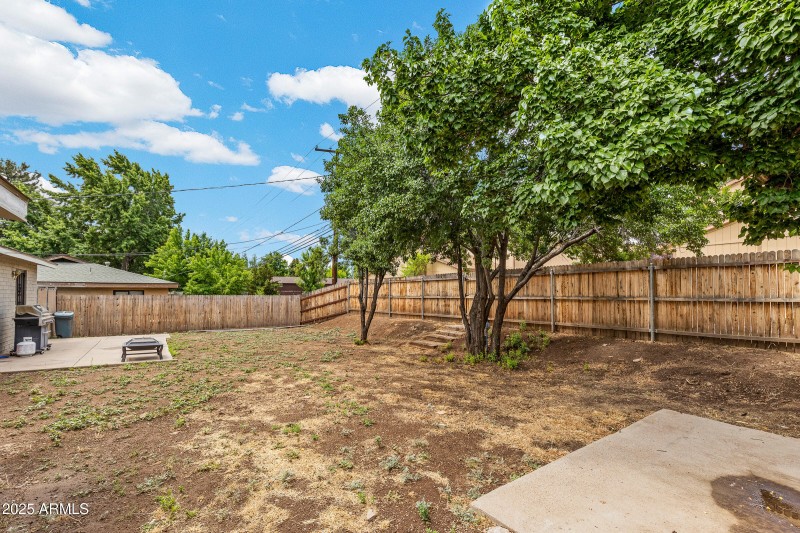 Backyard