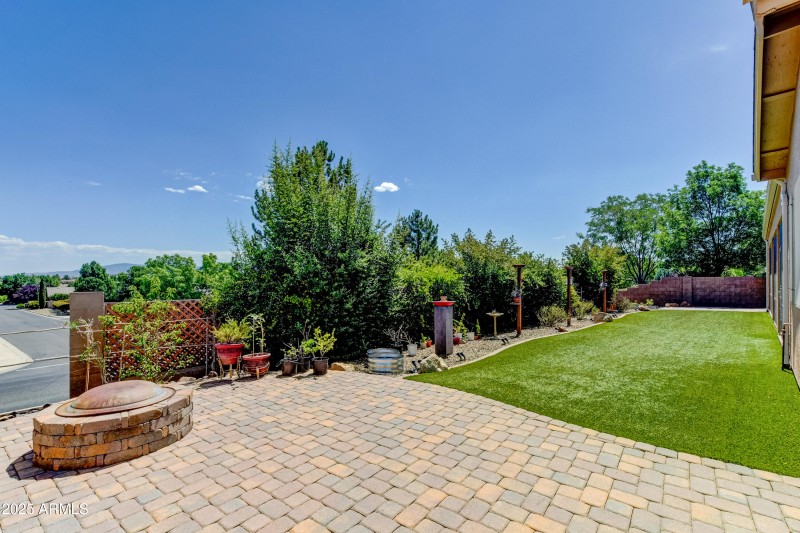 Back Yard 2