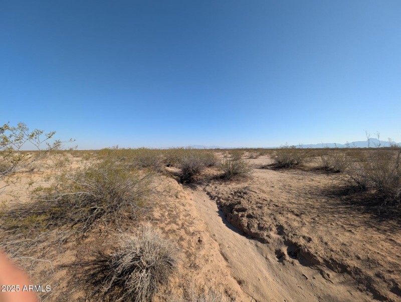 PXL_20250706_145816370