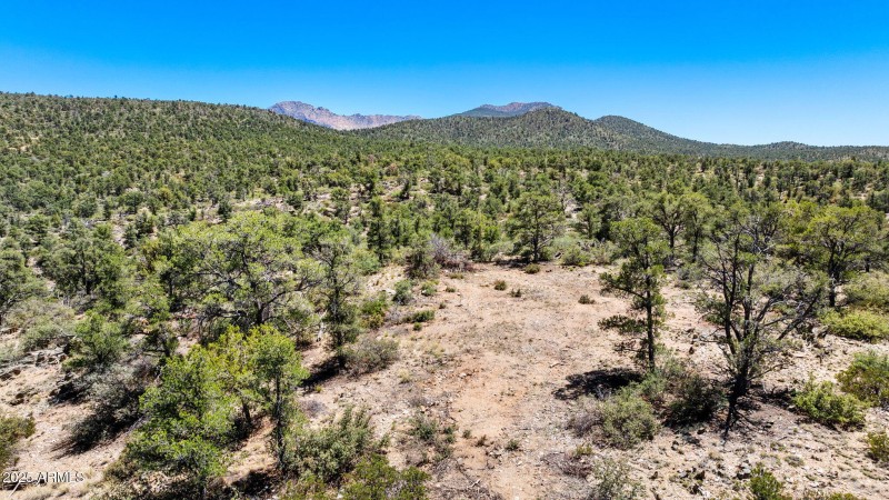 22-Lot Photo (3) (2)