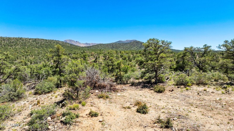 23-Lot Photo (4) (2)