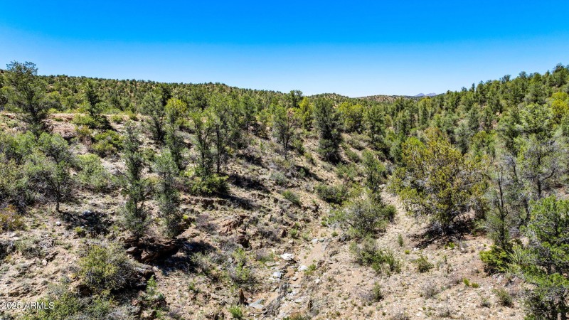 24-Lot Photo (5) (2)