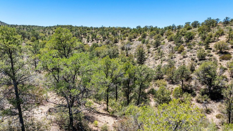 44-Lot Photo (2) (2)