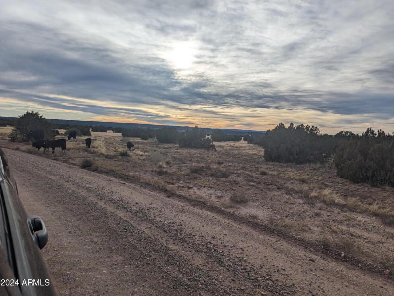 Open Range