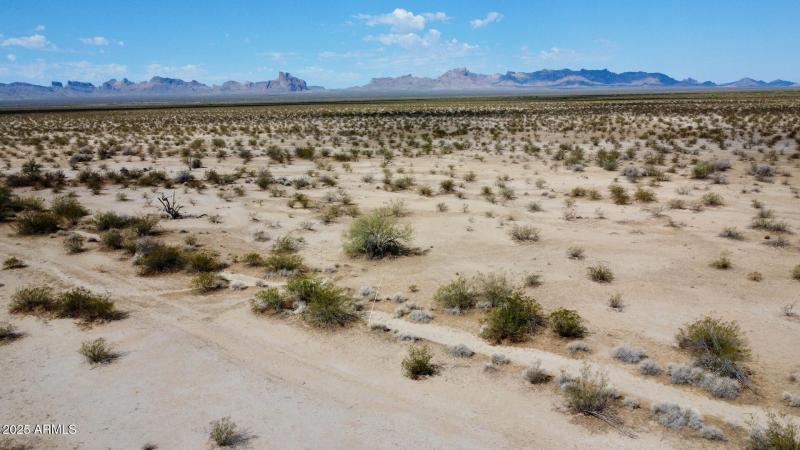DJI_0049
