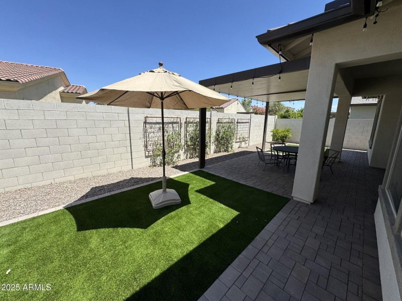 Backyard 1