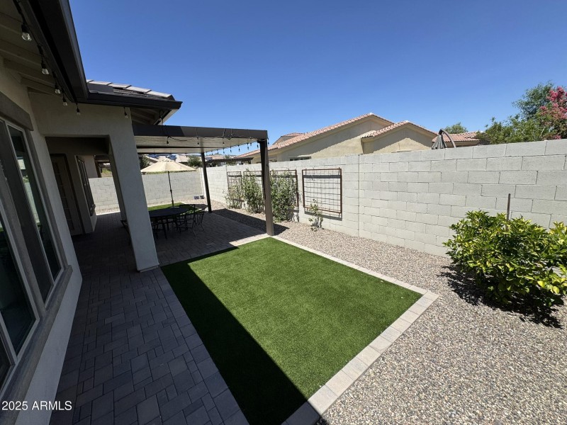 Backyard 2