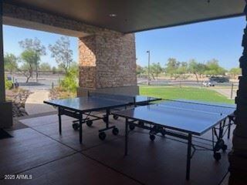 pingpong