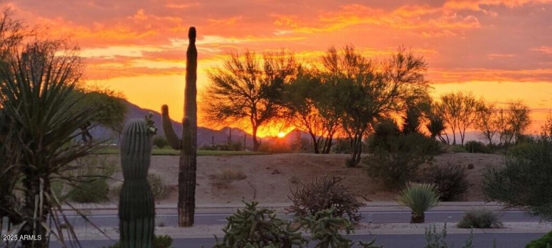 Black Mtn. Sunset