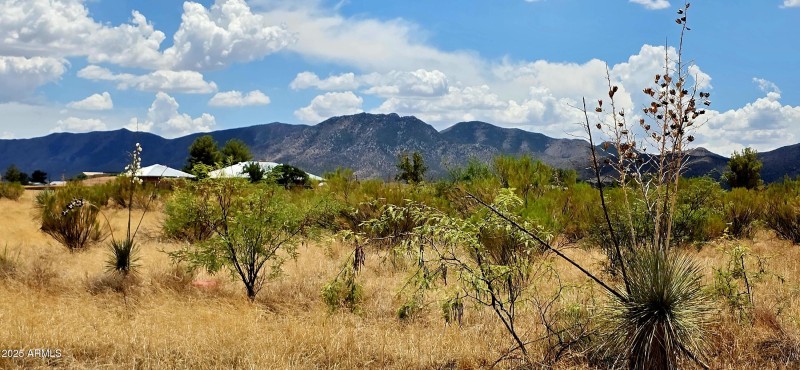 Lot 20 Willcox Road