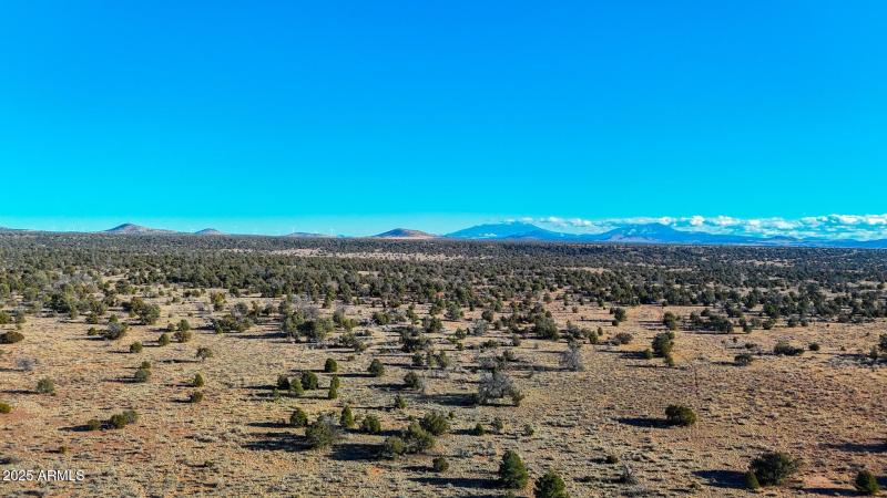 20250401070905294683000000-o