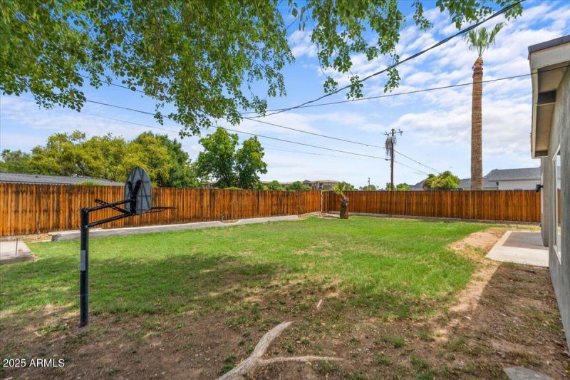 42-Back yard