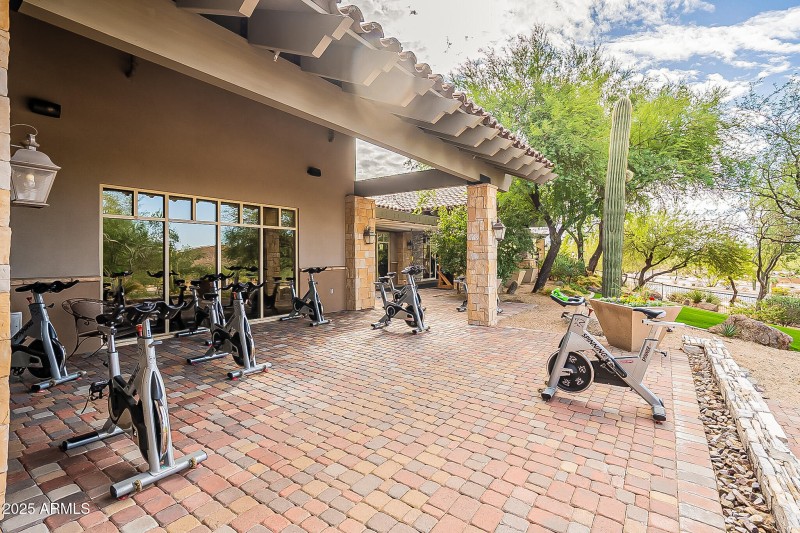 Fitness Classes